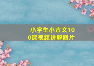 小学生小古文100课视频讲解图片