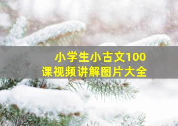 小学生小古文100课视频讲解图片大全