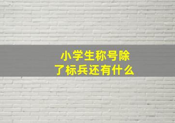 小学生称号除了标兵还有什么