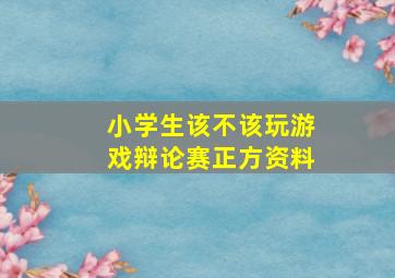 小学生该不该玩游戏辩论赛正方资料