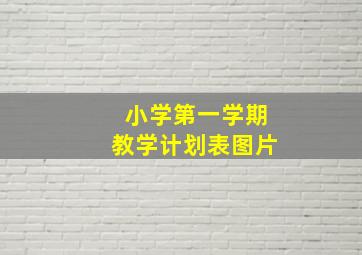 小学第一学期教学计划表图片