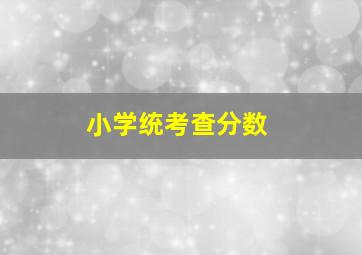 小学统考查分数