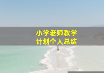 小学老师教学计划个人总结