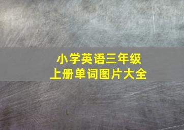 小学英语三年级上册单词图片大全