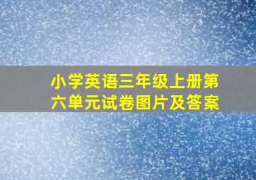 小学英语三年级上册第六单元试卷图片及答案