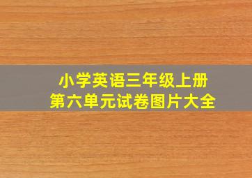 小学英语三年级上册第六单元试卷图片大全