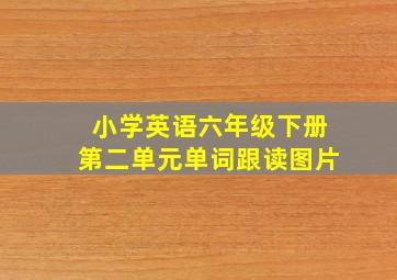 小学英语六年级下册第二单元单词跟读图片