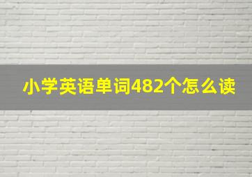 小学英语单词482个怎么读