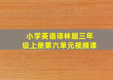 小学英语译林版三年级上册第六单元视频课