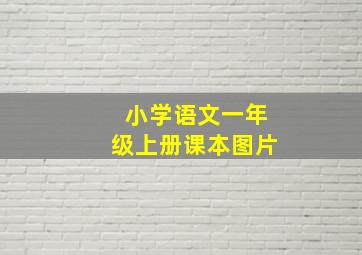 小学语文一年级上册课本图片