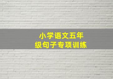 小学语文五年级句子专项训练