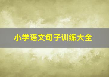 小学语文句子训练大全