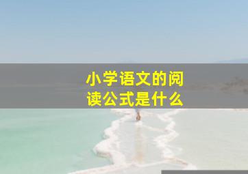 小学语文的阅读公式是什么