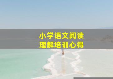 小学语文阅读理解培训心得