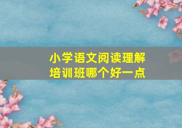 小学语文阅读理解培训班哪个好一点