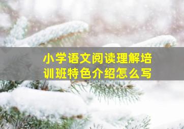 小学语文阅读理解培训班特色介绍怎么写