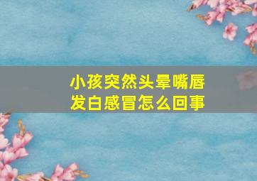 小孩突然头晕嘴唇发白感冒怎么回事