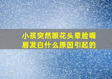 小孩突然眼花头晕脸嘴唇发白什么原因引起的