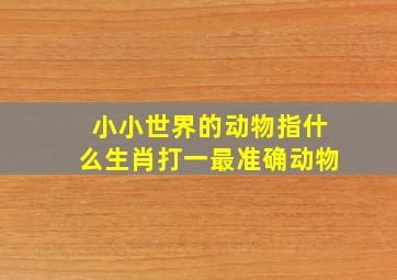 小小世界的动物指什么生肖打一最准确动物