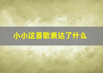 小小这首歌表达了什么