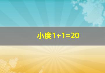 小度1+1=20