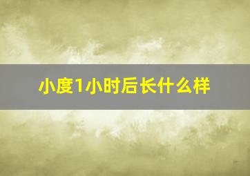 小度1小时后长什么样