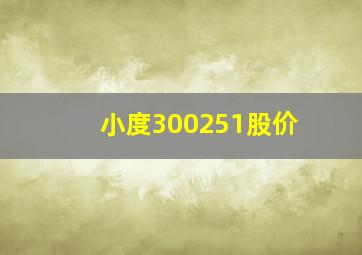 小度300251股价