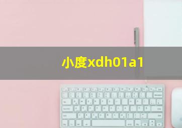 小度xdh01a1