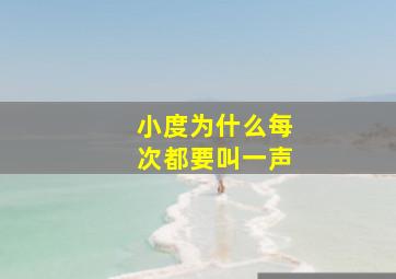 小度为什么每次都要叫一声