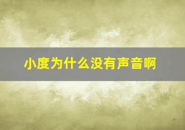 小度为什么没有声音啊