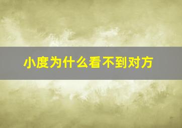 小度为什么看不到对方