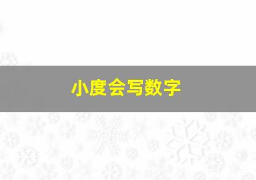 小度会写数字