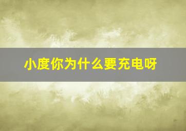 小度你为什么要充电呀