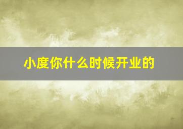 小度你什么时候开业的