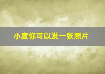 小度你可以发一张照片