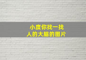 小度你找一找人的大脑的图片