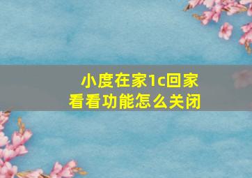 小度在家1c回家看看功能怎么关闭