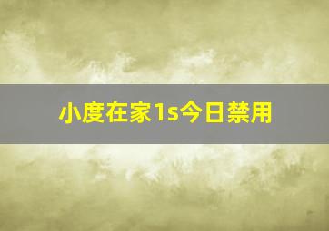 小度在家1s今日禁用