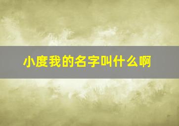 小度我的名字叫什么啊