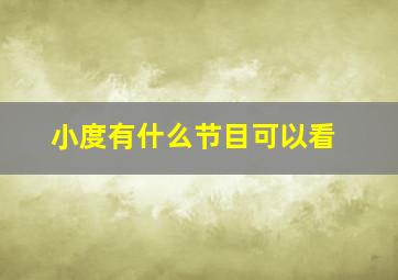 小度有什么节目可以看