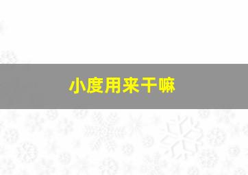 小度用来干嘛