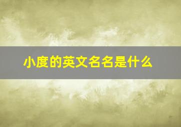 小度的英文名名是什么