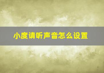 小度请听声音怎么设置