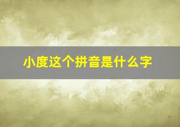 小度这个拼音是什么字