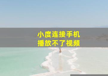 小度连接手机播放不了视频