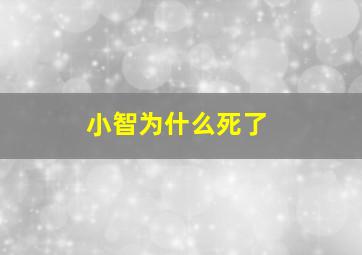 小智为什么死了