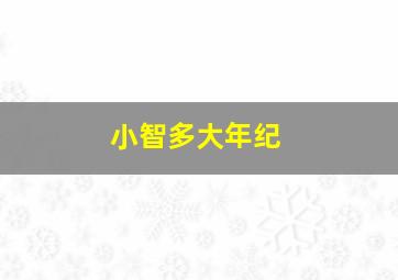 小智多大年纪