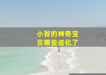 小智的神奇宝贝哪些进化了