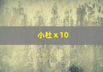 小杜ⅹ10