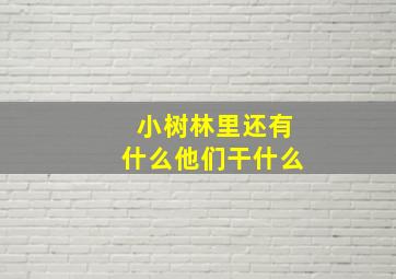 小树林里还有什么他们干什么